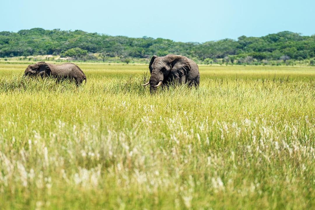 Montebelo Milibangalala Bay Resort Maputo Buitenkant foto